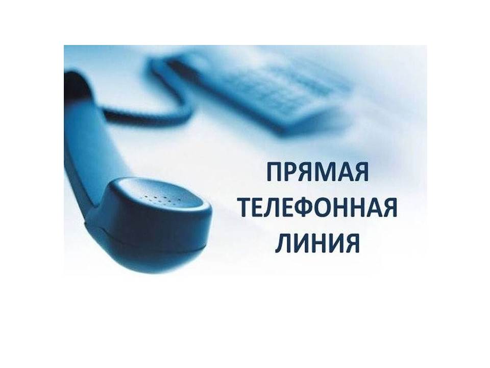 15 декабря с 10.00 до 13.00 в регионе состоится &quot;прямая телефонная линия&quot; с независимыми экспертами.