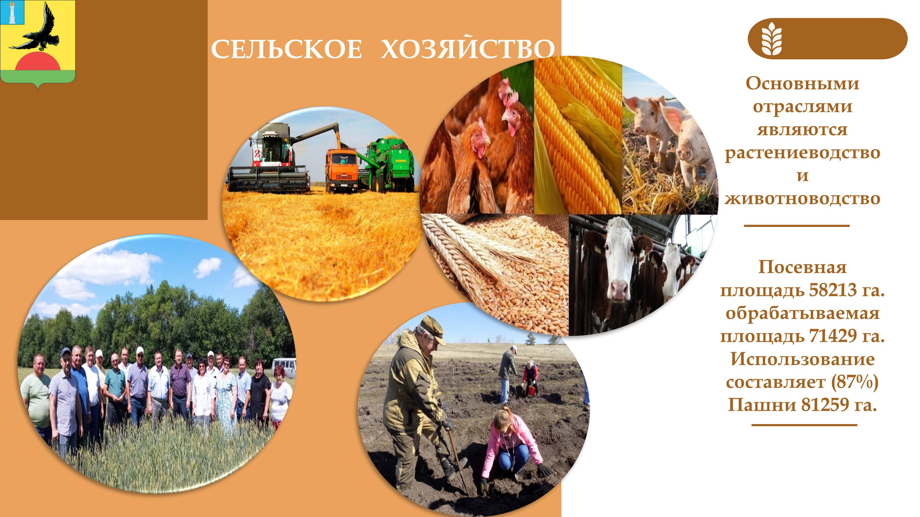 Изображения.