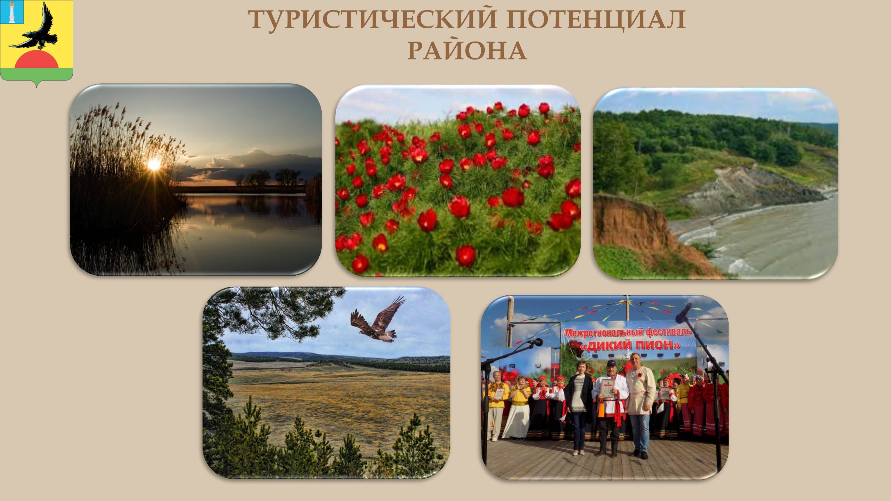 Изображения.