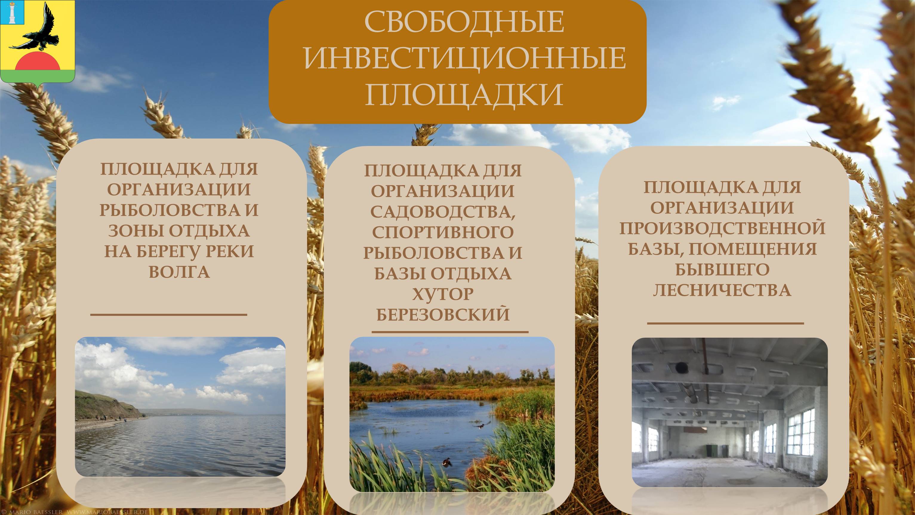 Изображения.