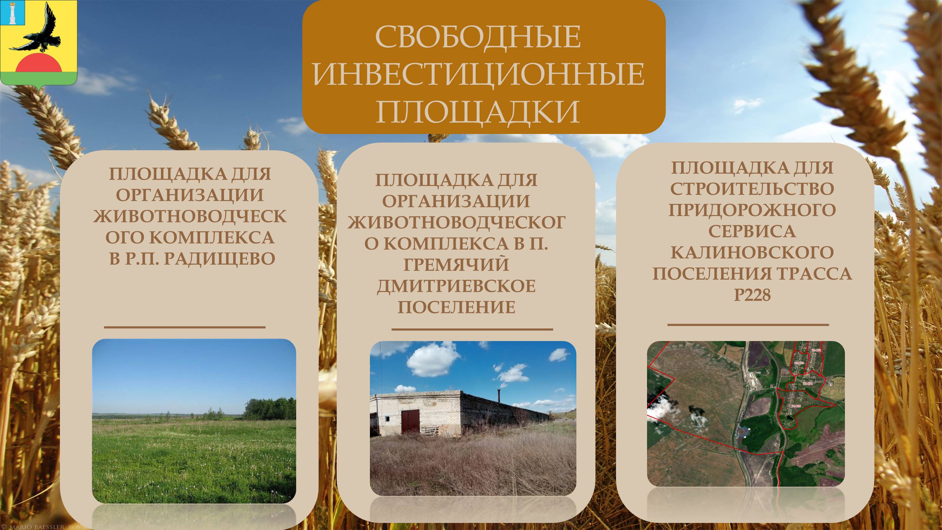 Изображения.