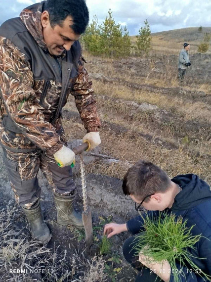 В Радищево идет высадка лесных культур. В Радищево идет высадка лесных культур.